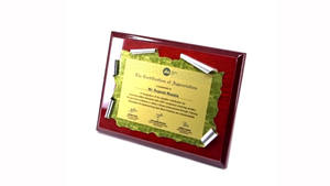 Plaque dorée à motif élégant très demandée pour les bureaux et les institutions, disponible pour une livraison mondiale - Product Image 4