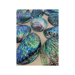 Pièces de coquille d'ormeau arc-en-ciel naturel pour bijoux d'art en mosaïque incrustation de coquille artisanat bricolage fabricant direct en gros - Product Image 6