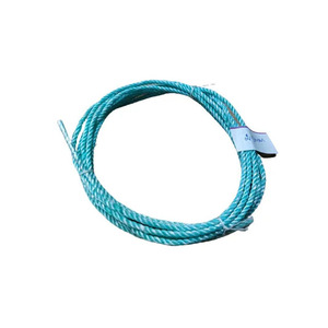 NUOVA FIL India Cordes de pêche Danline PP personnalisées et étanches pour le marché de la marine et des Philippines - Product Image 2