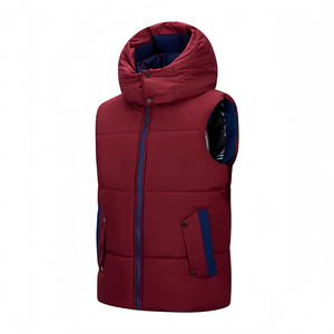 Veste sans manches à capuche zippée décontractée pour homme, nouvelle collection hiver, vente chaude, polyester épais et chaud, taille plus, vêtements d'extérieur - Product Image 1