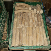 Jouets à mâcher en fibre de coco pour vos animaux de compagnie Jouets pour animaux de compagnie non toxiques et écologiques 100% matériaux naturels Jouets de qualité supérieure pour les dents de votre animal de compagnie