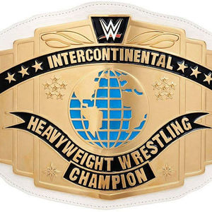 UFC เข็มขัดนักมวยปล้ำเข็มขัด MMA ปรับแต่งได้ - Product Image 4