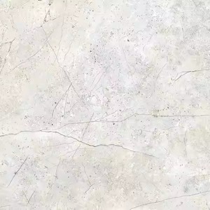 Habana กระเบื้องพอร์ซเลนรูปสี่เหลี่ยมสีเงินขนาด60x60ซม. (600x600มม.) ผิวมันหลากสีเหมาะสำหรับตกแต่งบ้าน - Product Image 1