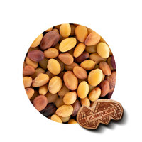 Trèfle hybride Berseem Grade A1 Fourrage agricole riche en nutriments Durée de conservation de 3 ans Animaux plus robustes Kohenoor International Sindh