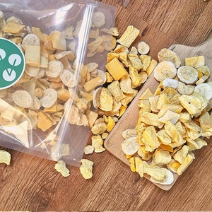 Tranches de fruits lyophilisés de qualité supérieure prix le moins cher vente en gros de fruits déshydratés mélangés du Vietnam - Product Image 3