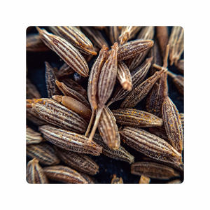 Graines de cumin disponibles en lots importants pour les acheteurs internationaux et les acheteurs en gros - Product Image 3