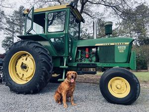 Rodamientos, Motores, Engranajes, Bombas y Caja de Cambios Esenciales para Tractor de Ruedas John Deere 4020 de 1969 con Motor Diésel de 90HP - Tractor Usado en Venta - Product Image 5
