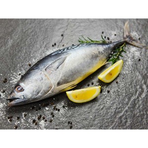 Thon surgelé de qualité supérieure pêché à l'état sauvage, certifié halal et congelé à-40 ° C pour une fraîcheur maximale - Product Image 6