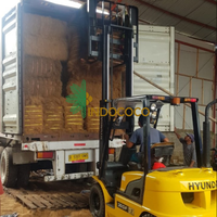 Fibre de coco brun doré 18%-25% d'humidité, longueur 7-30cm, 100kg/balle CDCF-FIBER-0001 Fournisseur Indococo Indonésie