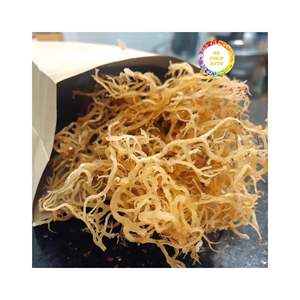 Algues eucheuma cottonii sauvages fabriquées, origine vietnamienne, source séchée de qualité supérieure pour les industries alimentaires et cosmétiques - Product Image 3