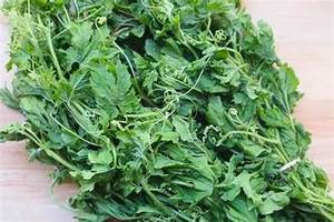 HOJAS DE MELÓN AMARGO CONGELADAS SOPORTE DE DETOX ALIMENTOS LIMPIOS DE FUENTE DE HIERBAS VERDES A BASE DE PLANTAS - Product Image 5