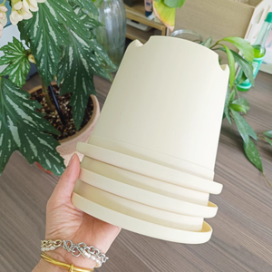 Conception personnalisée directe couleurs simples Pavico Vietnam fabriqué classique usage domestique PP plastique blanc Pots de fleurs plantation au sol - Product Image 3