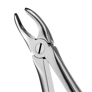 Instruments Surgiright en gros, forceps d'extraction dentaire manuels de haute qualité, certifiés CE, racines inférieures, poignée ergonomique - Product Image 5