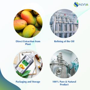 Aceite de semilla de mango 100% puro y natural al por mayor a granel precio más bajo embalaje personalizado - Product Image 4
