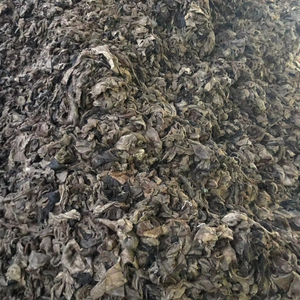 Tijeras de corte de cuero crudo duraderas ergonómicas afiladas para entusiastas del cuero para cinturón muebles bolso ropa - Product Image 1