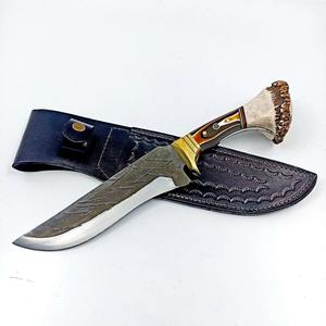 Cuchillo de Hoja Fija Hecho a Mano con Mango de Madera de Ciervo y Funda de Cuero Genuino - Product Image 6