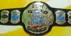 Wrestling Championship Belts Trophées Médailles et récompenses le symbole ultime de la victoire et de l'excellence Ceintures de championnat - Product Image 6