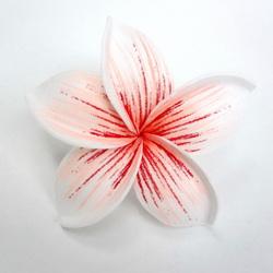 B03 : Peachy-พีช