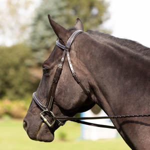 Bride de chasseur cousue fantaisie rembourrée réglable avec culotte de rênes Bride anglaise de qualité supérieure avec rembourrage confortable, élégante - Product Image 4