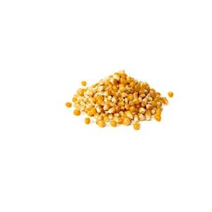 Grains de maïs jaunes séchés non OGM pour la production d'aliments pour animaux et de qualité alimentaire en grandes quantités pour les acheteurs en gros mondiaux - Product Image 3