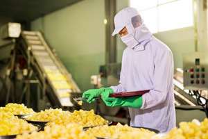 MEJOR VENDEDOR Vietnam Piña congelada Piezas IQF 2025 Disponible Fruta tropical de alta calidad Precio barato Exportación a granel - Product Image 3