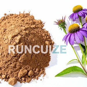 <span class=keywords><strong>Echinacea</strong></span>-extractpoeder 4% / 10% polyfenolen |   Natuurlijk plantaardig ingrediënt voor cosmetica, persoonlijke verzorging en OEM-formuleringen - Product Image 3