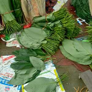 อาหารห่อใบไม้สีเขียวสดที่เป็นมิตรต่อสิ่งแวดล้อม - Product Image 2