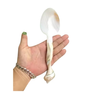 Cuillère à caviar en nacre exquise 11cm-16cm, cuillère en coquille de conque naturelle, service de dessert de luxe, logo personnalisé, cuillère en coquille - Product Image 4