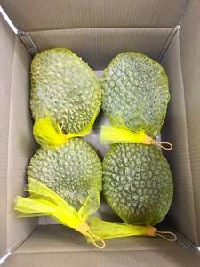 2025 Temporada Alta Calidad orgánico congelado Durian 100% Natural buen precio EXPORTACIÓN DE Vietnam - Product Image 5