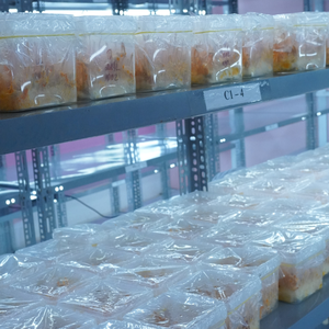 Offre Spéciale prix usine séché Cordyceps Militaris champignon haute teneur en Cordycepin lyophilisation complément alimentaire - Product Image 4