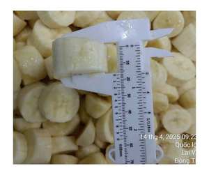 Exportación a granel de plátano congelado de Vietnam-Rodajas de plátano congelado Premium producidas para batidos y jugos - Product Image 5