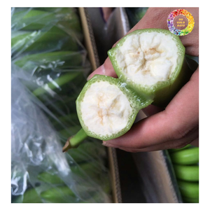 Vente de gros Banane Cavendish en vrac, banane verte fraîche naturelle non mûre 13kg, idéale pour la transformation des aliments - Product Image 5