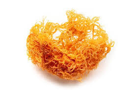 สินค้าขายดีมอสทะเลเวียดนาม | แห้งและแปรรูป | บรรจุถุง | Viet delta/ms.thao SUPPLY - Product Image 5