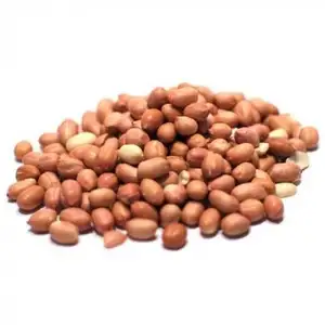 Harga Murah stok jumlah besar kacang polong 100% kacang tanah organik kacang mentah untuk dijual dalam jumlah besar dengan pengiriman cepat