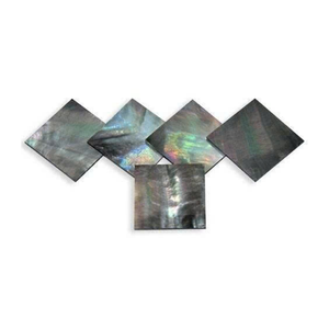 เปลือกหอยมุกเวียดนามแบบแผ่น สำหรับงานฝังตกแต่งเฟอร์นิเจอร์หรูหรา งานฝีมือ และการตกแต่ง - Product Image 2