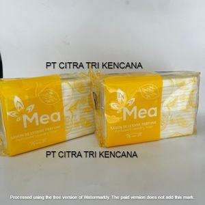 SAVON CHAUD POLYVALENT LAVAGE VÊTEMENTS LAVAGE MARQUE SAVON POLYVALENT LAVAGE DOUCHE CORPS DÉTERGENT LINGE pour Almetyevsk RUSIA - Product Image 1