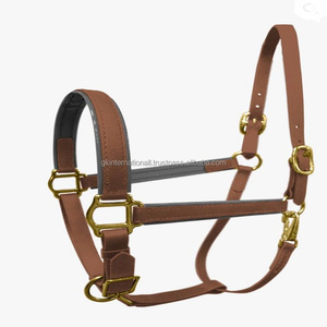 Dos de cheval en cuir rembourré double couture marron clair double couronne boucle en laiton bouton pression à la gorge épingle réglable licou personnalisé - Product Image 4