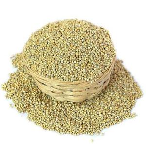 Millet vert de qualité supérieure disponible pour l'exportation - Product Image 2