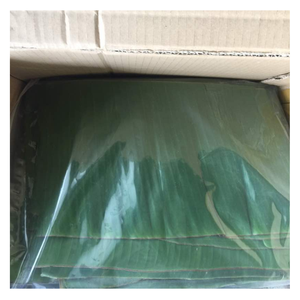 FEUILLES DE BANANE CONGELÉES IQF ORIGINE BLANCHIE VIETNAM Feuille de bananier fraîche ovale pour l'exportation - Product Image 5