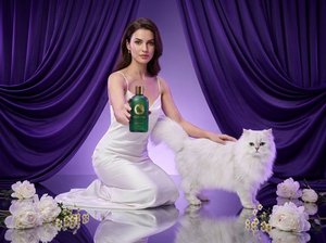 Shampoo pour chat à poils longs VELVETPAW Premium & Shampooing + Après-shampoing 2-en-1 Extrait de camomille Formule soie Pour chats persans et Maine Coon - Product Image 4