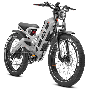 Novedades: Bicicletas Eléctricas eAhora Pro II de Alto Rendimiento, 4kW, Batería de Litio, Largo Alcance de 200 Millas, Velocidad Máxima de 46 MPH - Product Image 1