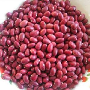 Frijoles Rojos Indios a Granel, Venta al Por Mayor, Exportación, Fabricante con Alcance Global, Frijoles Rojos Indios Secos Sin OMG en Venta - Product Image 3