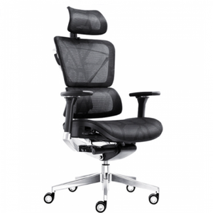 Ergonomic Chair E6 Women's <b>Coats</b> Product Category - Product Image 1