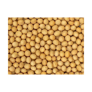 Sac de 50kg germination et graines de soja jaune sec de qualité alimentaire soja non OGM - Product Image 6