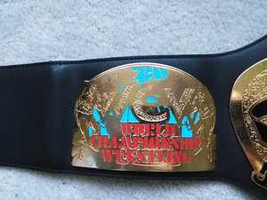 Cinturones de campeonato de lucha libre Trofeos Medallas y premios el símbolo definitivo de Victoria y excelencia Cinturones de Campeonato - Product Image 2