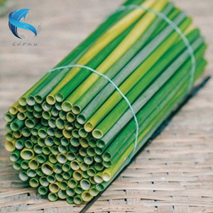 Pajitas de hierba biodegradables para un estilo de vida ecológico - Product Image 1