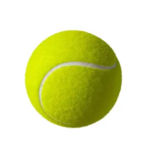 OEMサービスプライベートラベルテニスボールカスタマイズされたロゴトレーニング用テニスボールプロのハイバウンステニスボール