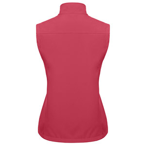 Gilet softshell pour femme, haute qualité, nouvelle arrivée 2025, épais, grande taille, respirant, couleur unie, vêtement d'hiver, coupe-vent, gilet softshell - Product Image 6