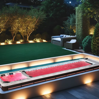 Piscine sans fin extérieure à double zone Spa de natation Massage en fibre de verre Piscines amusantes pour adultes