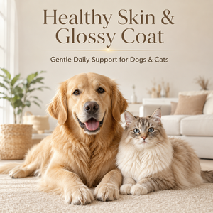 Integratore per la Cura della Pelle dei Cani a Marchio Privato, Olio di Salmone, Acidi Grassi Omega 3, Gel per la Salute del Manto del <span class=keywords><strong>Gatto</strong></span>, Supporto con Biotina, Zinco e Vitamine in <span class=keywords><strong>Pasta</strong></span> - Product Image 4